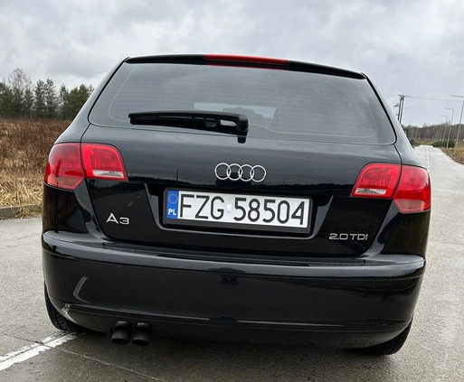 Audi A3 cena 16500 przebieg: 261200, rok produkcji 2005 z Żagań małe 172